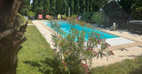 Piscine Chauffée et Spa à Mittelschaeffolsheim 9.5m x 4m 3